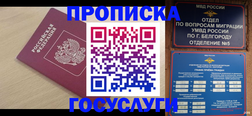 прописка законно в Котельниково